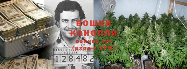 трава Арсеньев