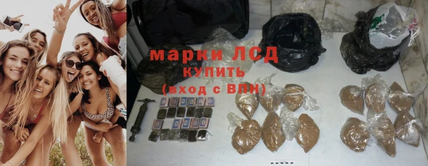 трава Арсеньев